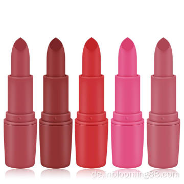 25 Farben Matte Professional Custom Matte Vintage Lippenstift